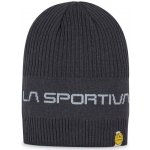 La Sportiva Beta beanie Carbon Cloud – Hledejceny.cz