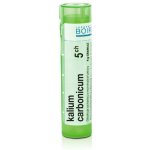KALIUM CARBONICUM POR 5CH GRA 1X4G – Hledejceny.cz