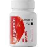 Pangamin Gnostin 200 tablet – Hledejceny.cz