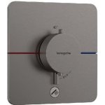 Hansgrohe 15589340 – Hledejceny.cz
