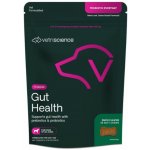 VetriScience Probiotic Everyday žvýkací probiotika pro psy 45 tablet – Hledejceny.cz