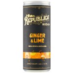 Republica Božkov ginger & lime 6% 0,25 l (plech) – Hledejceny.cz