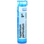HYPERICUM PERFORATUM POR 9CH GRA 1X4G – Hledejceny.cz