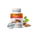 MycoMedica Reishi forte 50% 90 kapslí – Hledejceny.cz