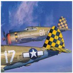Academy Model Kit letadlo 12492 P 47D RAZOR BACK 1:72 – Zboží Mobilmania