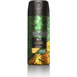 Axe Wild Green Mojito & Cedarwood deospray 150 ml – Zboží Dáma