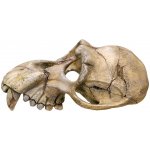 Nobby Lebka opice 22,5x14,5x11 cm – Zbozi.Blesk.cz