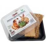 Jindřich Šíp Apetit hlodavčí tráva 30 g – Hledejceny.cz
