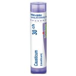 CAUSTICUM POR 30CH GRA 1X4G – Hledejceny.cz