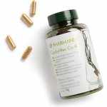 Pharmanex CordyMax Cs 4 120 kapslí – Hledejceny.cz