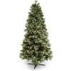 Vánoční stromek JUNIOR Stromeček vánoční kanadská bílá borovice 220 cm