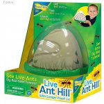 Insect Lore Velké mraveniště Anthill – Sleviste.cz