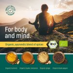 WoldoHealth Zlaté mléko kurkuma 300 g – Hledejceny.cz