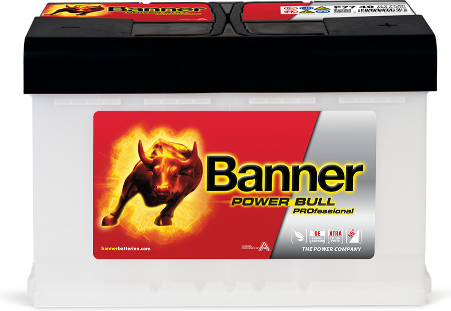 Banner Power Bull PROfessional 12V 100Ah 800A P100 40