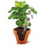 Forestina Výživa pro pokojové rostliny 35 ml – Zboží Dáma