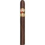 Ashton Cigars Paradiso Monumento 1 ks – Hledejceny.cz
