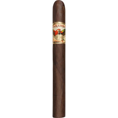 Ashton Cigars Paradiso Monumento 1 ks – Hledejceny.cz