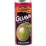 Philippine brand guava 250 ml – Zboží Mobilmania