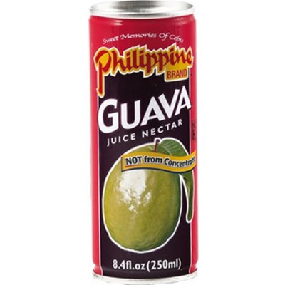 Philippine brand guava 250 ml – Zboží Mobilmania