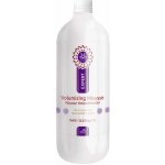 Hydra Profesionální objemová pěna 1000 ml – Hledejceny.cz
