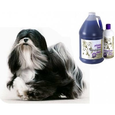 1All Systems Vybělovací šampon Professional Formula Whitening Shampoo 3,78 l – Zboží Dáma