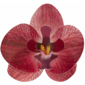 Květy z jedlého papíru orchidej růžová 10ks Dekora