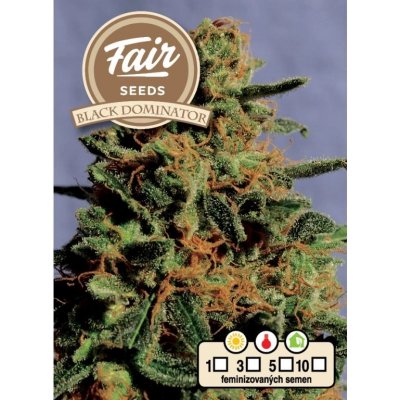 Fair Seeds Black Dominator semena neobsahují THC 5 ks – Sleviste.cz