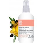 Trend Up Remedy Keratin sprej pro okamžitou obnovu poškozených vlasů 200 ml – Hledejceny.cz
