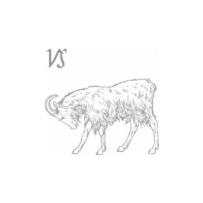 Kozoroh – Zboží Dáma