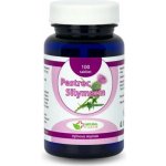 Natural Pharm Pestrec Silymarín 100 tablet – Hledejceny.cz