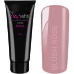 Ráj nehtů Akrylgel v tubě Blush Rose 30 g – Zbozi.Blesk.cz