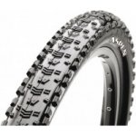 Maxxis Aspen 29x2,1 kevlar – Zboží Mobilmania