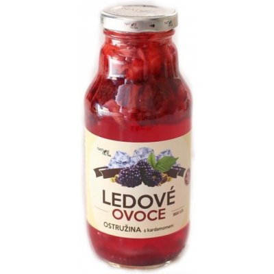Nature Notea Ledové ovoce Ostružina s kardamonem 330 ml – Zboží Mobilmania