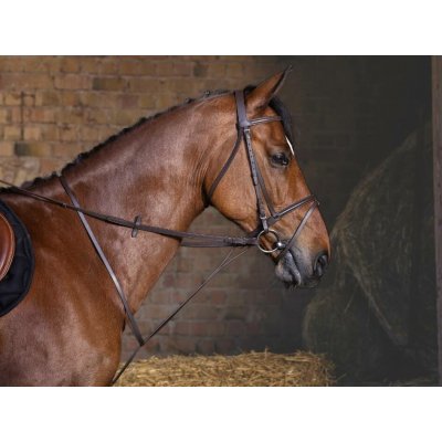 RIDING Pevný martingal WORLD havana – Zboží Mobilmania