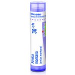 ARNICA MONTANA POR 30CH GRA 4G – Zboží Dáma ARNICA MONTANA POR 30CH GRA 4G – Zboží Dáma