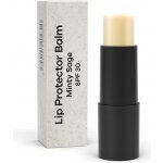 Beviro Protector Balm SPF 30 Minty Sage 4,2 g – Zboží Dáma