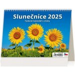 stolní Slunečnice 2025 – Zbozi.Blesk.cz