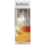 Bolsius aroma difuzér mango 45 ml – Hledejceny.cz
