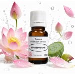 Slow Natur Lotosový květ Vonný olej 10 ml – Hledejceny.cz
