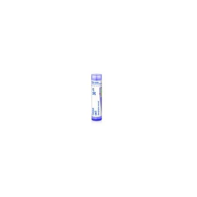 COCCUS CACTI POR 30CH GRA 1X4G – Hledejceny.cz
