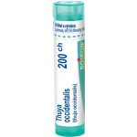 THUYA OCCIDENTALIS POR 200CH GRA 4G – Hledejceny.cz