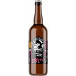 Nachmelená Opice IPA 14° 0,75 l (sklo) – Sleviste.cz