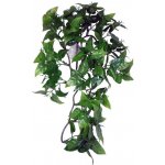 Komodo Philodendron Plant 30 cm – Sleviste.cz