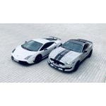 Lamborghini vs Mustang 1 osoba 40 minut – Hledejceny.cz