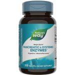 Nature's Way Mega-Zyme 100 tablet – Hledejceny.cz