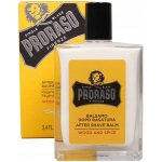 Proraso Wood and Spice balzám po holení 100 ml – Zboží Dáma