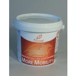 Phytovet More Mobility 1 kg – Hledejceny.cz