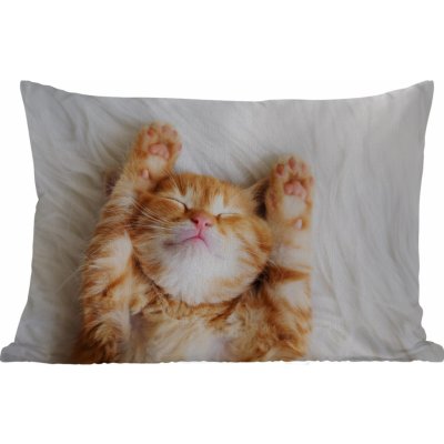 MuchoWow Vnější polštář Kočka červená Domácí mazlíčci kotě 60x40 – Zboží Mobilmania