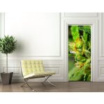 WEBLUX Samolepka na dveře fólie Marijuana - 18646563 Marihuana rozměry 90 x 220 cm