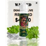 Bandidos Mint Menthol Shake & Vape 10 ml – Zboží Mobilmania